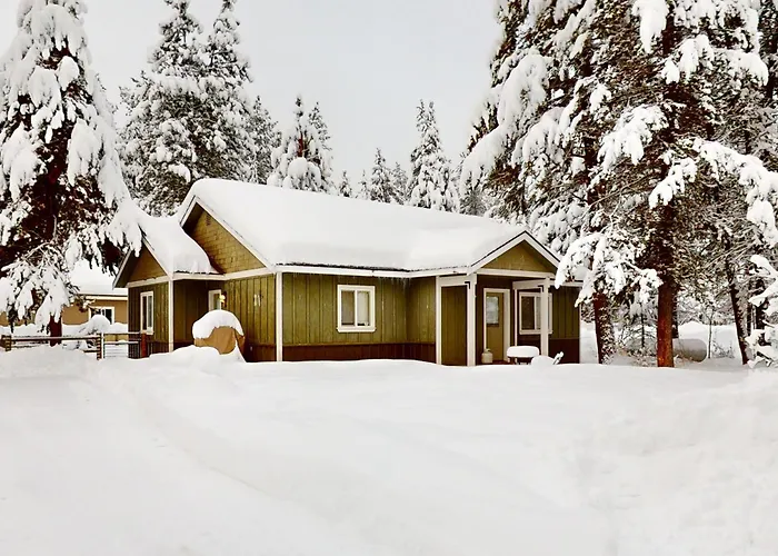 Black Dog Cabin