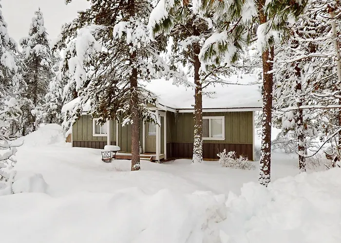 Black Dog Cabin