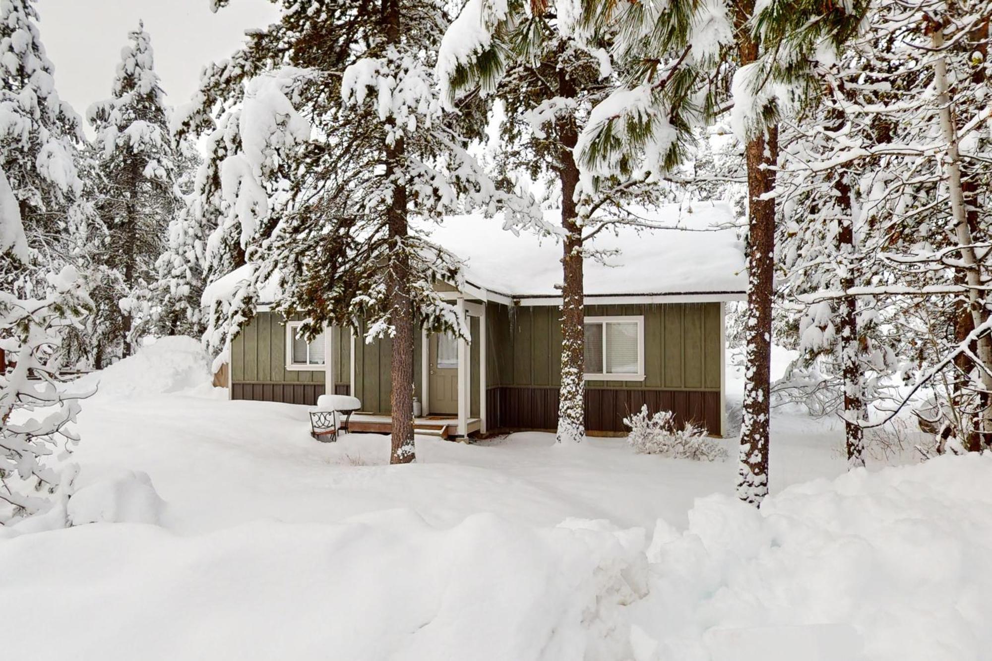 Black Dog Holiday home McCall
